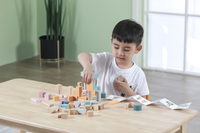 Polar B Wooden Blocks - 60pcs